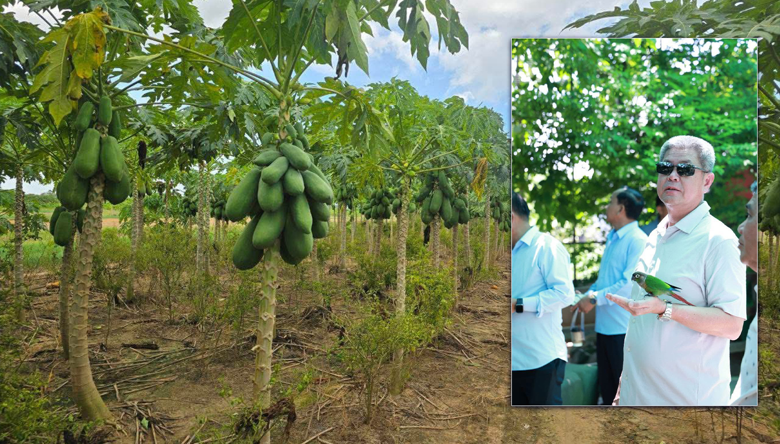 ឯកឧត្តម គួច ចំរេីន ៖ ខ្មែរស្រលាញ់ខ្មែរ ខ្មែរគាំទ្រផលិតផលខ្មែរ